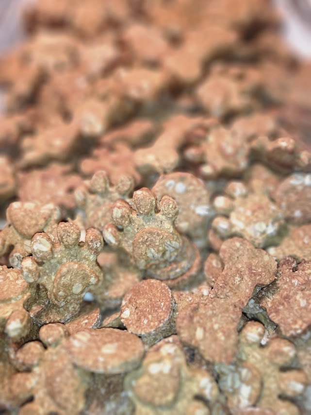 How to Train A Dog With Treats