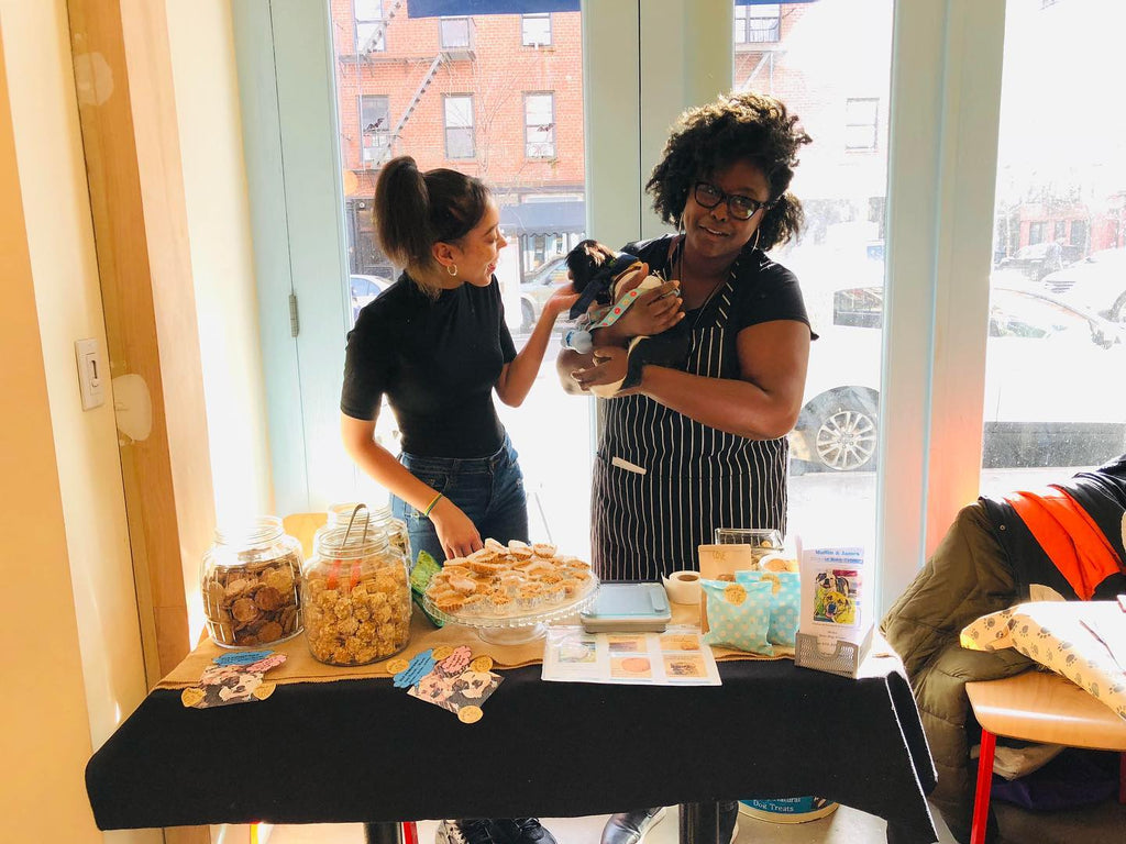 7 Homemade Frozen Dog Treats for Cool Snacking All Summer Long